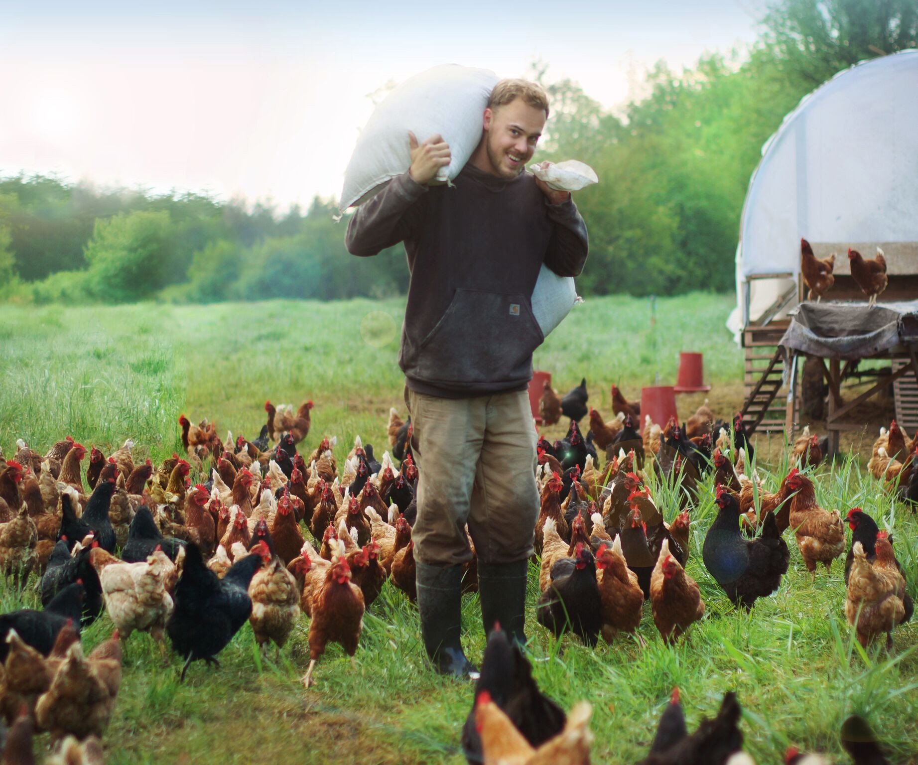 3_1585003267_5e793b032eebc Young farmer carrying a sack of feed while surrounded by free-range chickens in a green field, with a chicken coop visible in the background.